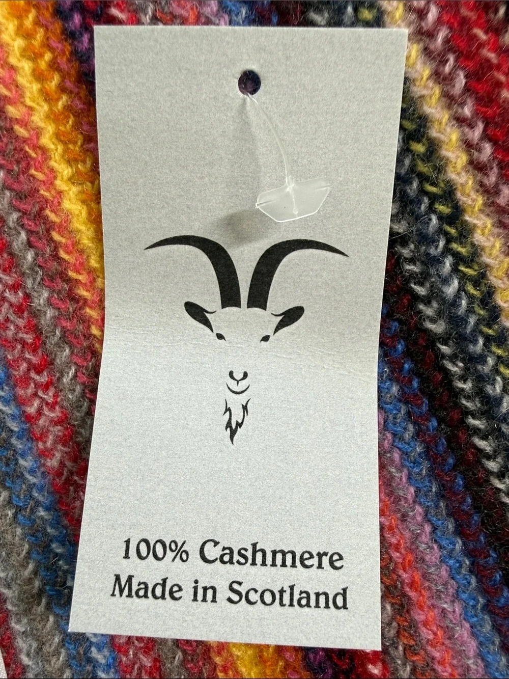 The scarf company colorful rainbow striped cashmere scarf with fringe NWT